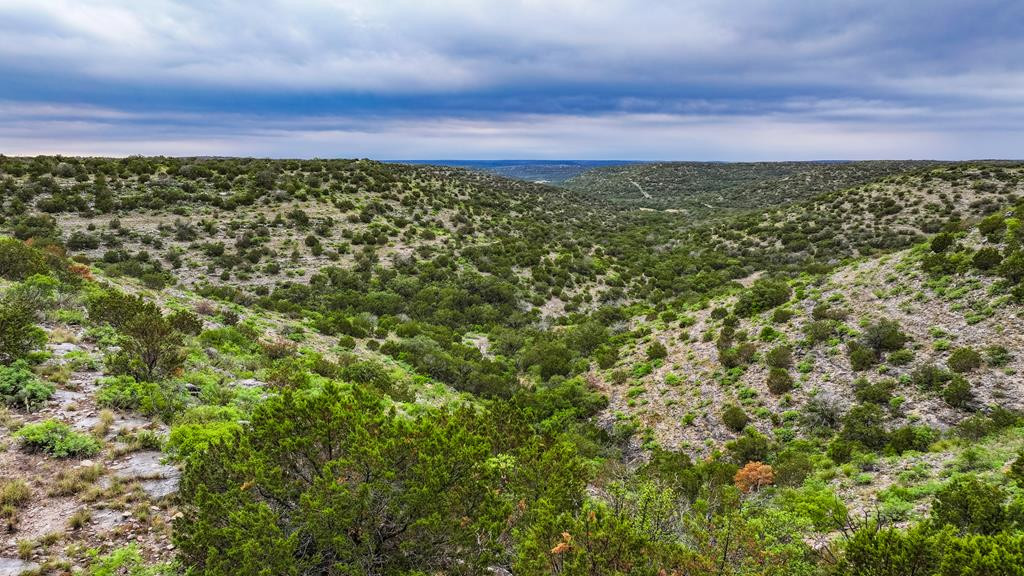 0 Well Pad Road Del Rio, TX 78840 - Photo 1 of 1 Main View