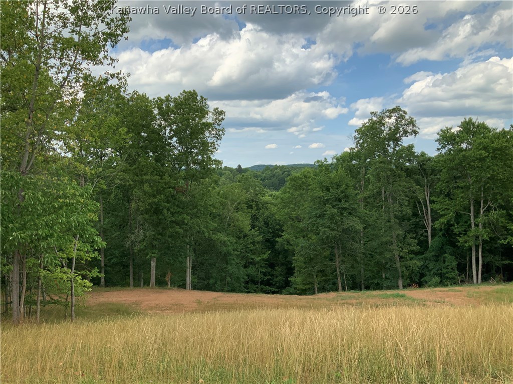 1939 Statts Mills Road Ripley, WV 25271 - Photo 32 of 43 Gallery Image 32