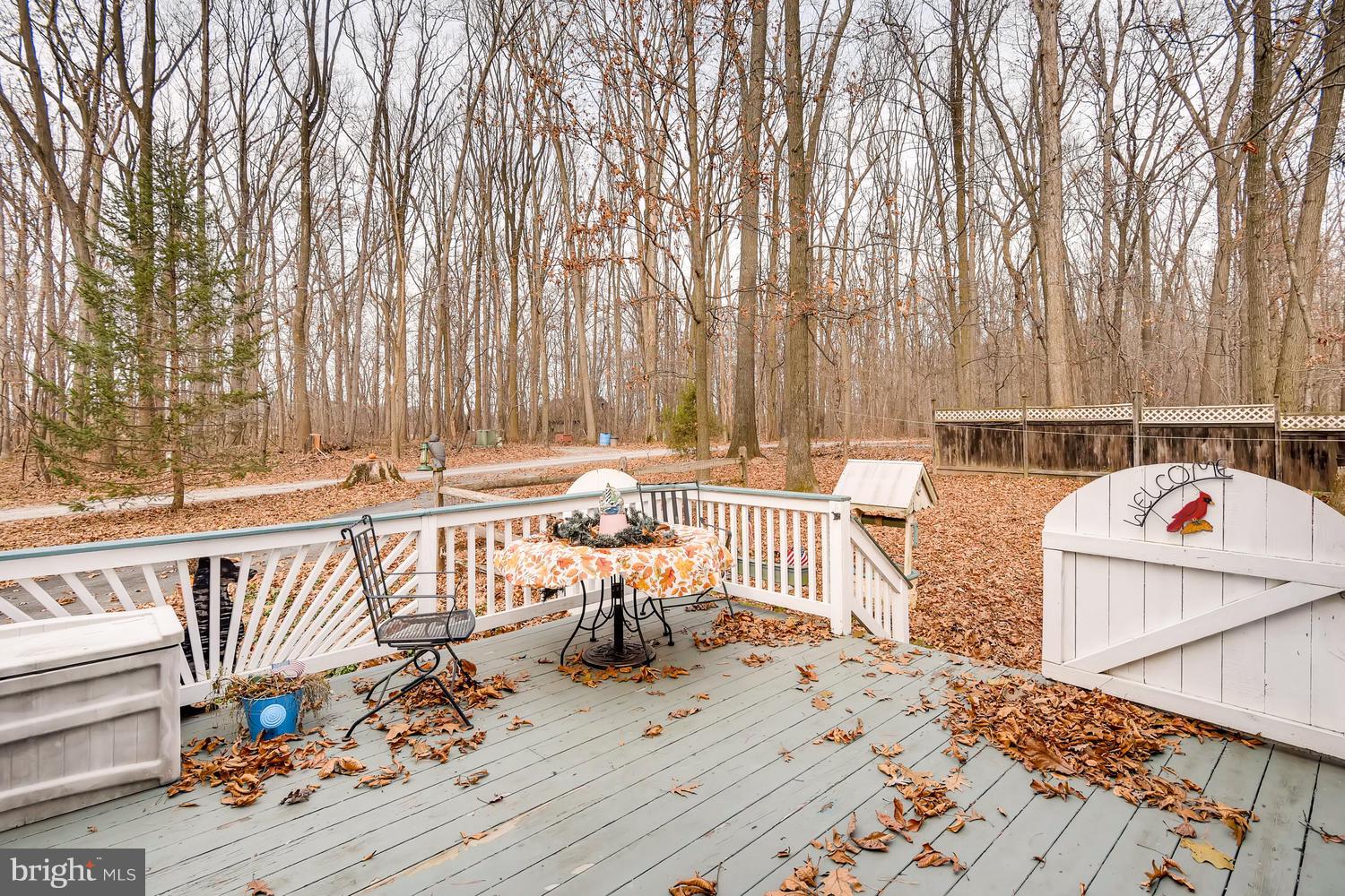 4727 Archer Road Whiteford, MD 21160 - Photo 22 of 26 Backs to trees!