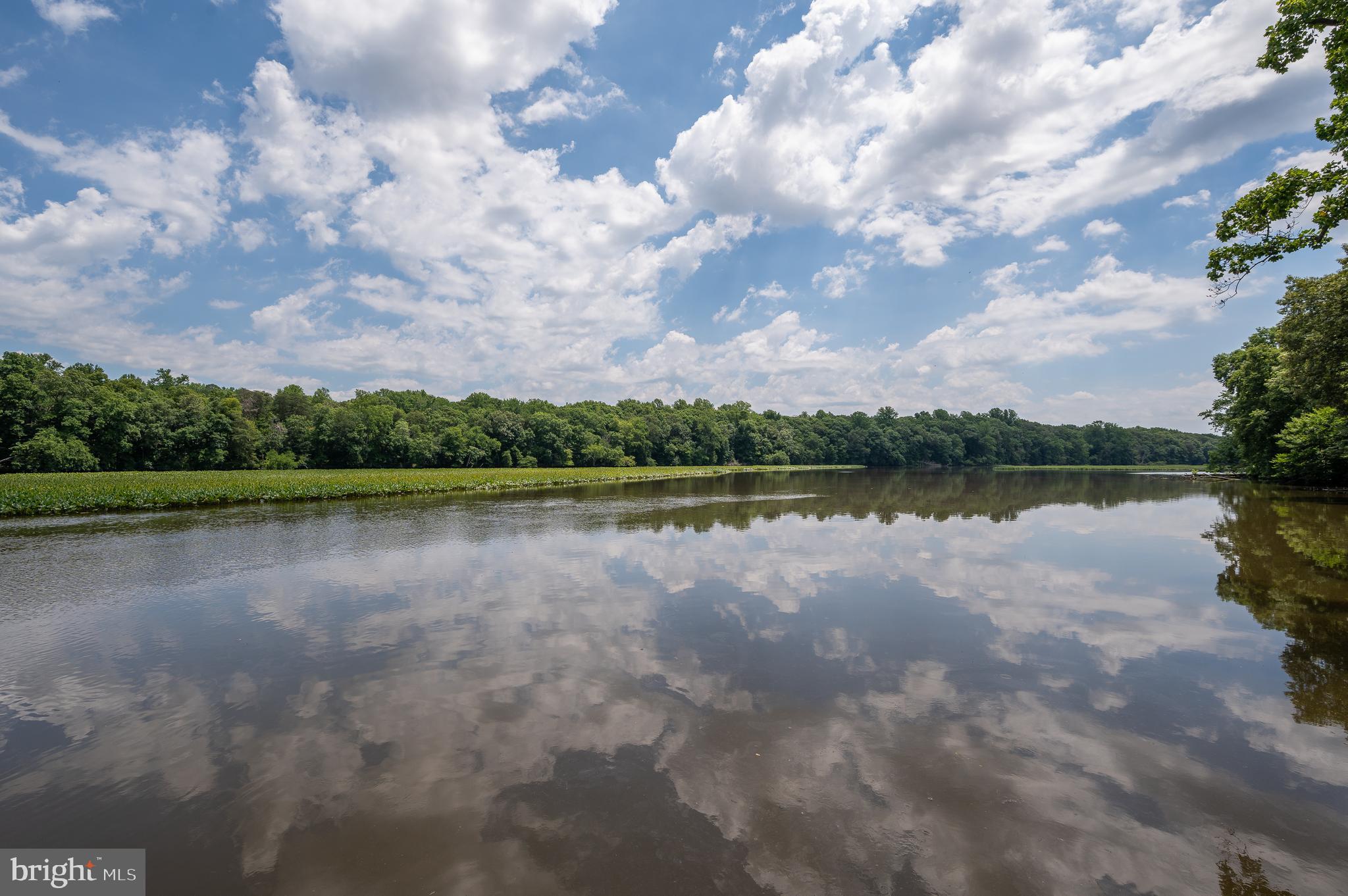 Lot 3 Mill Ridge Road Cordova, MD 21625 - Photo 10 of 27 Gallery Image 10