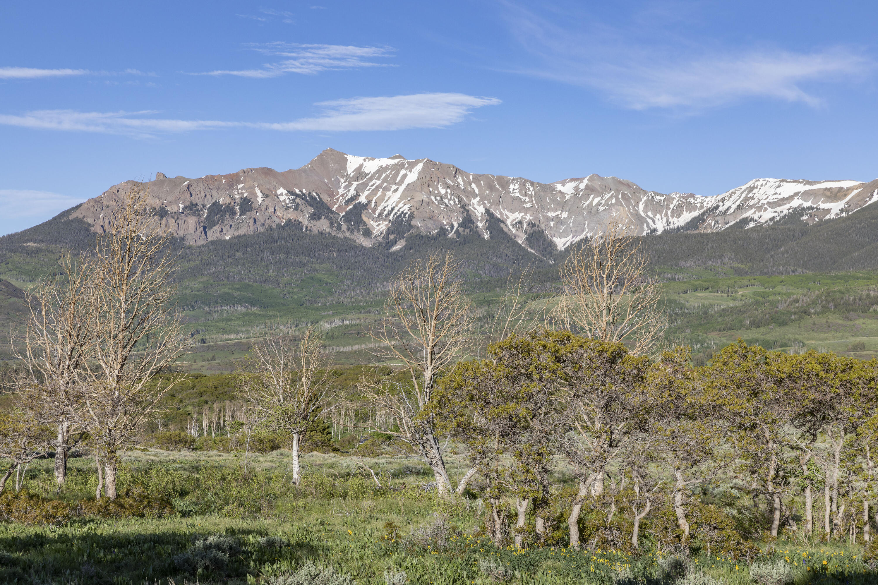 541 Elam Ridge Drive Placerville, CO 81430 - Photo 27 of 36 a view of a lake in middle of the sunset