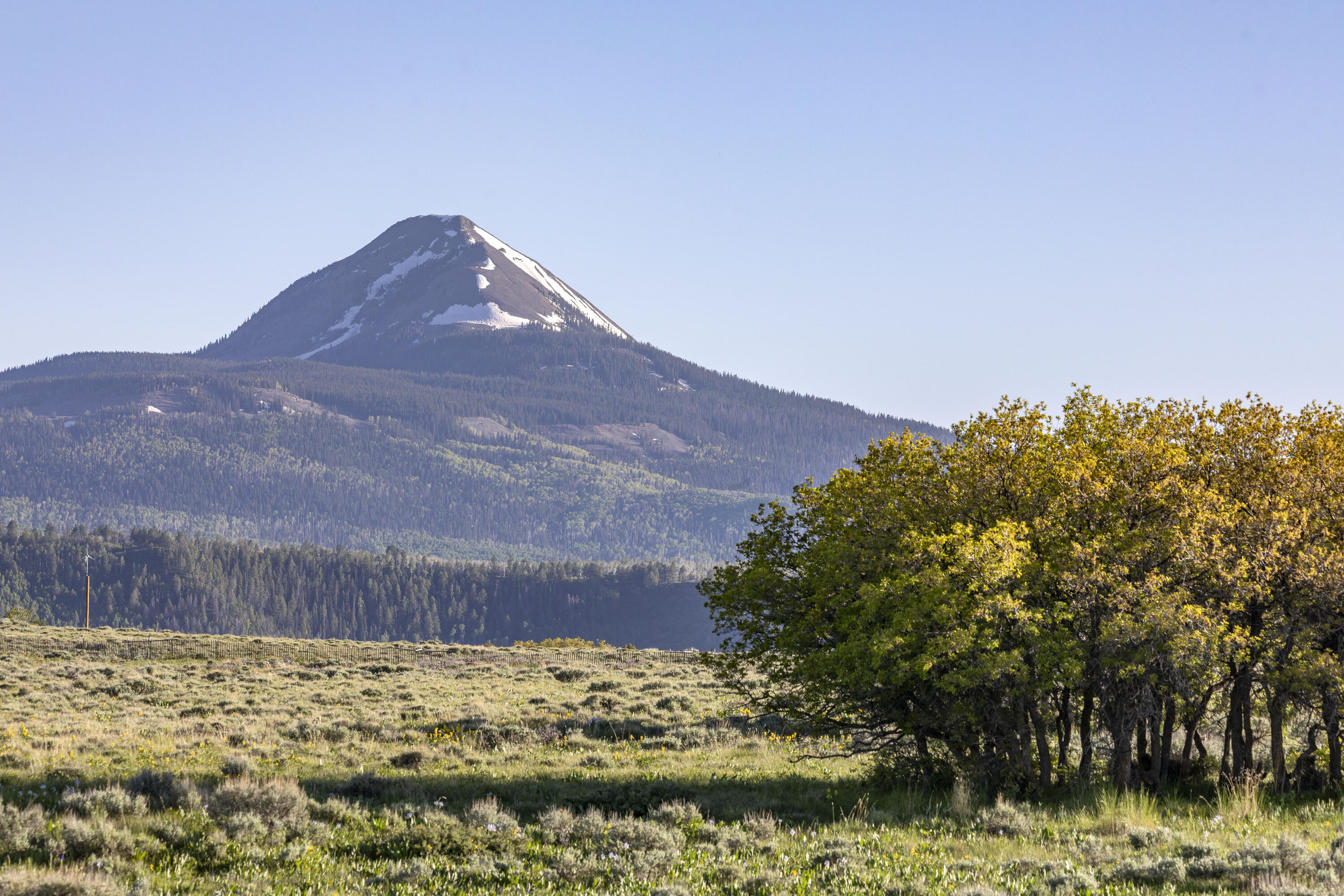 541 Elam Ridge Drive Placerville, CO 81430 - Photo 30 of 36 a view of a large body of water with a house in the background
