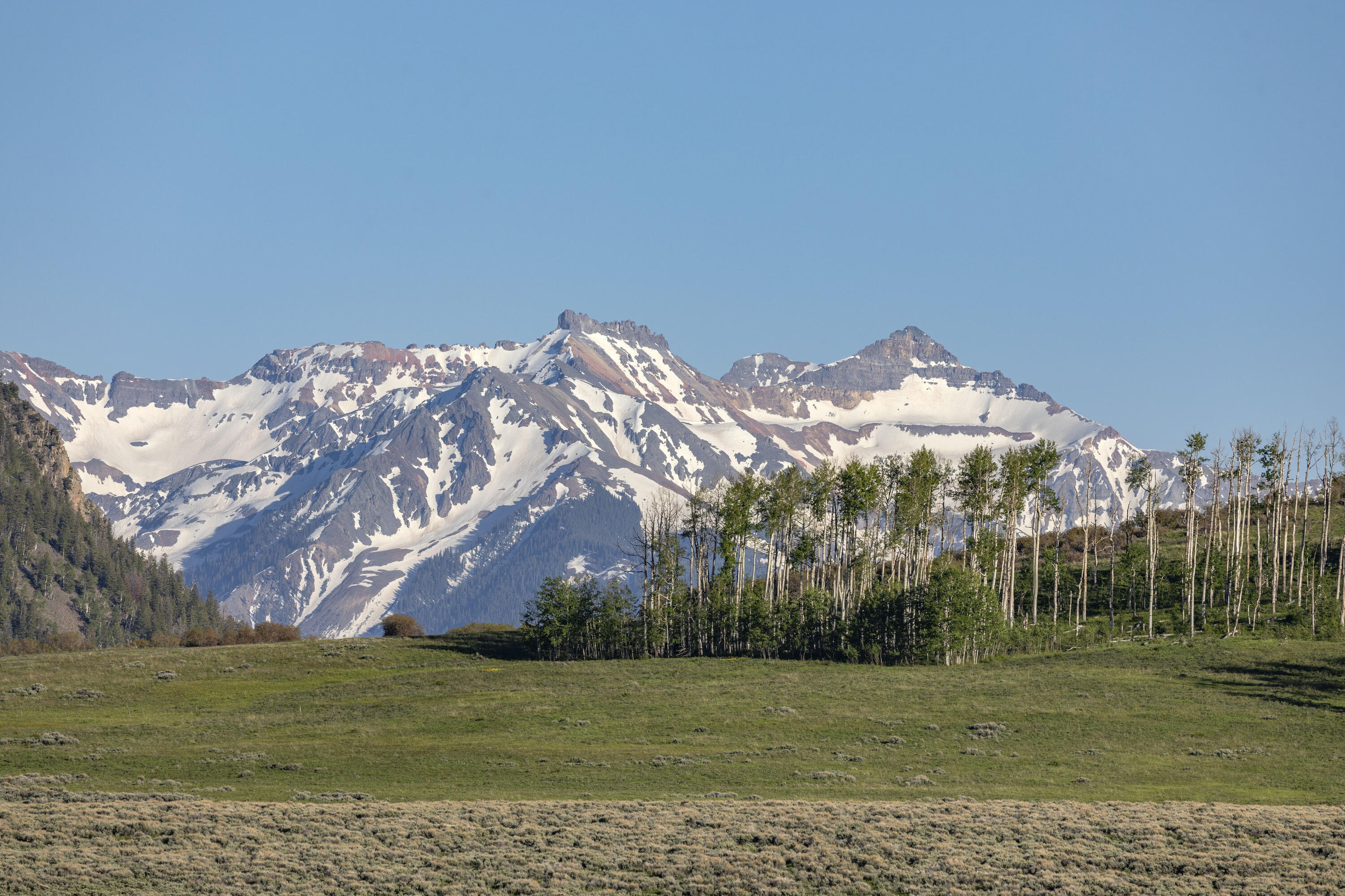 541 Elam Ridge Drive Placerville, CO 81430 - Photo 31 of 36 a view of a big yard