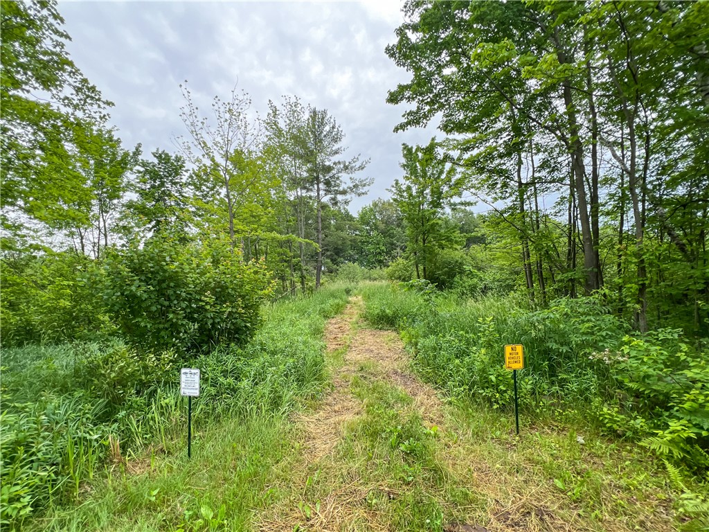 0 130th Street Bloomer, WI 54724 - Photo 14 of 16