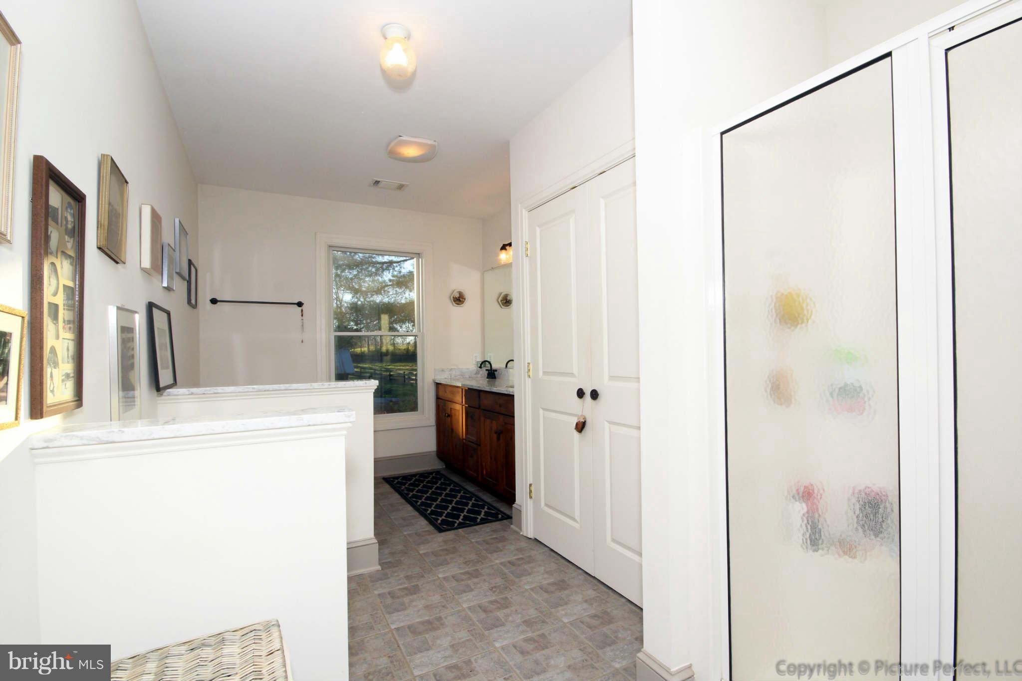 18546 Lappans Road Boonsboro, MD 21713 - Photo 20 of 30 Bath (Master)