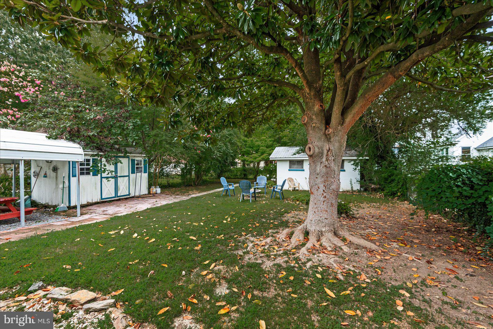 209 Hawthorn Street Colonial Beach, VA 22443 - Photo 42 of 56 a view of a house with backyard and a tree