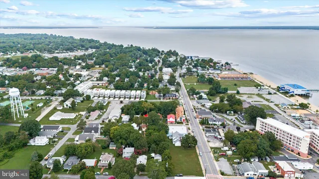 a picture of flowers