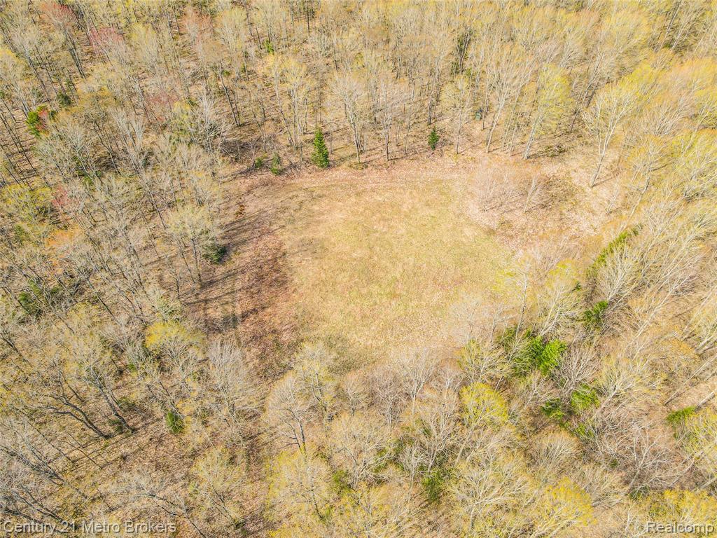 21821 Krenkel Road Newberry, MI 49868 - Photo 22 of 28