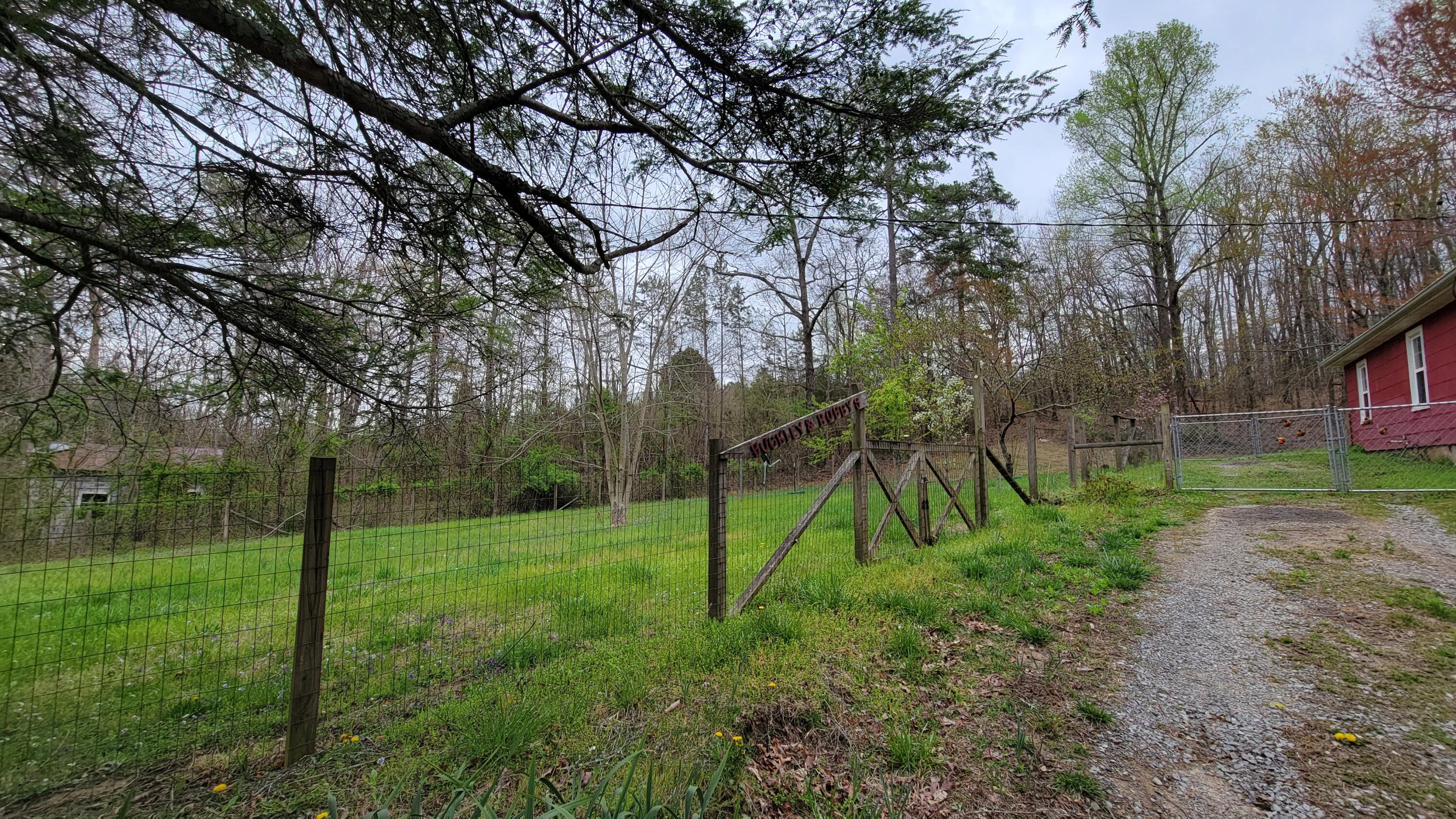 2881 Shut In Gap Road Spring City, TN 37381 - Photo 3 of 38 20250402_120938