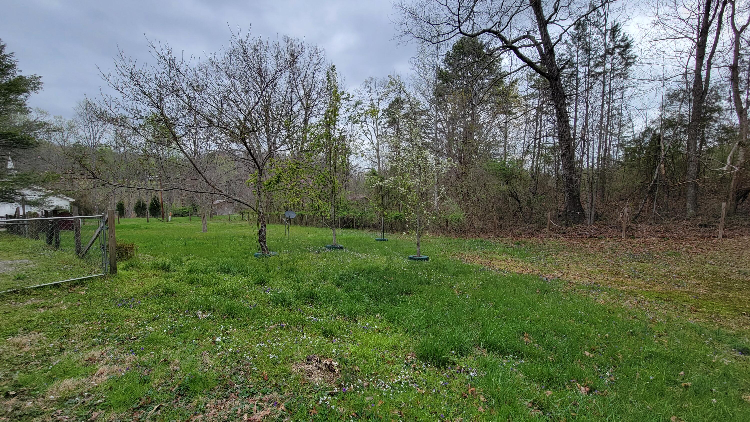 2881 Shut In Gap Road Spring City, TN 37381 - Photo 6 of 38 20250402_120606