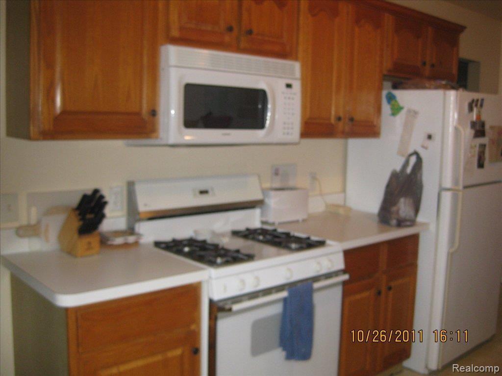 12824 Sweitzer Road Carleton, MI 48117 - Photo 3 of 15 054