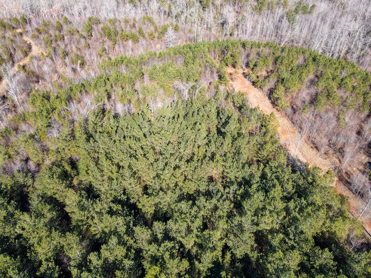 1521 Old Pacolet Road Spartanburg, SC 29307 - Photo 12 of 48