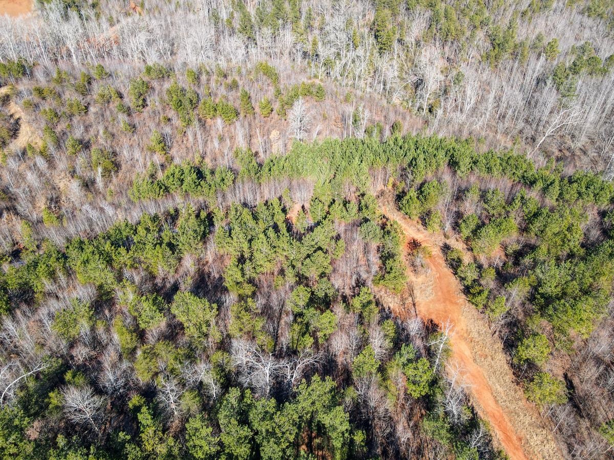 1521 Old Pacolet Road Spartanburg, SC 29307 - Photo 13 of 48