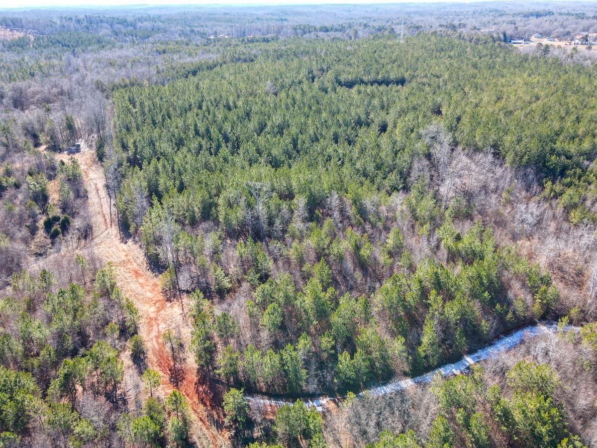 1521 Old Pacolet Road Spartanburg, SC 29307 - Photo 14 of 48