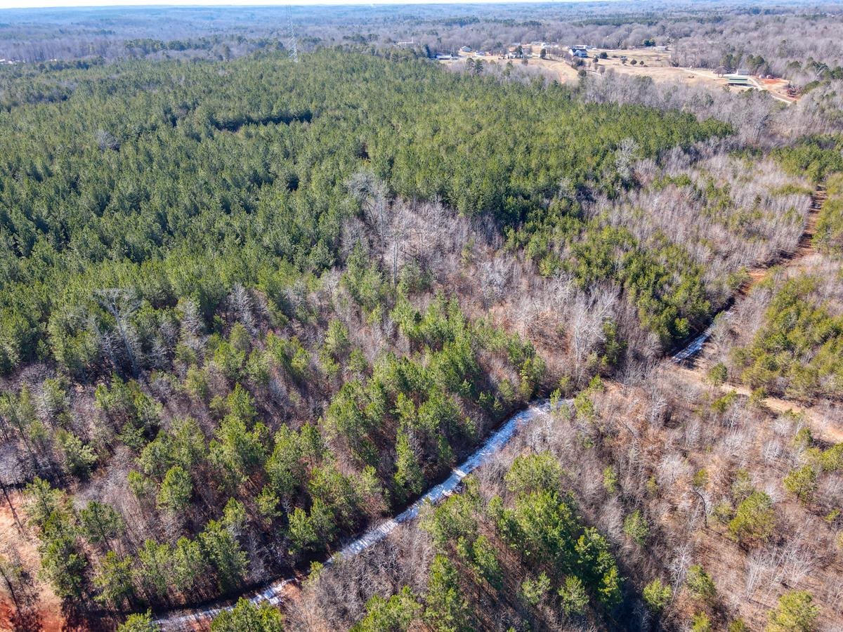 1521 Old Pacolet Road Spartanburg, SC 29307 - Photo 15 of 48