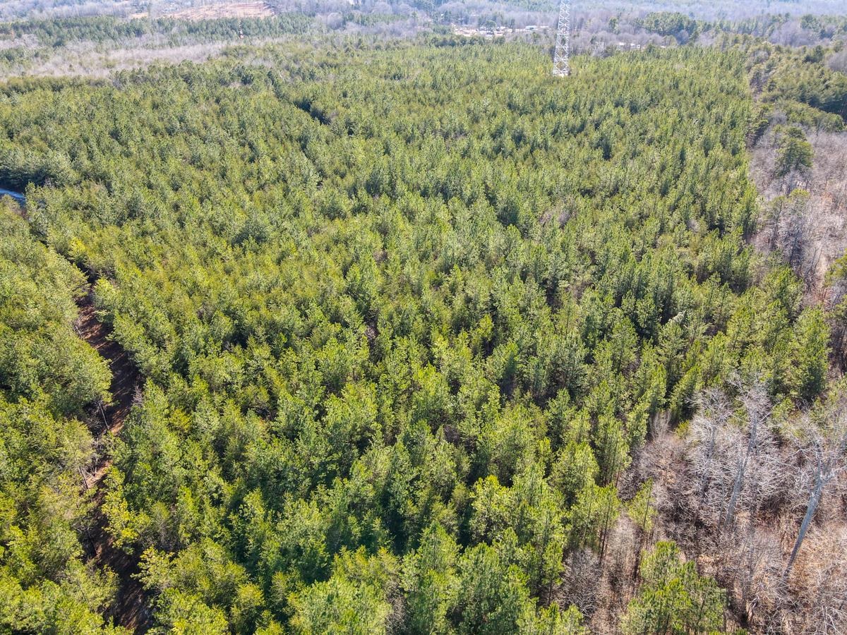 1521 Old Pacolet Road Spartanburg, SC 29307 - Photo 18 of 48