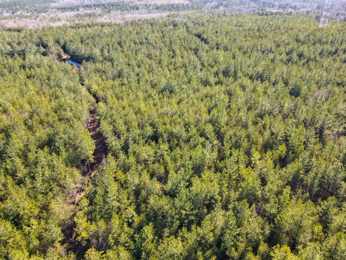 1521 Old Pacolet Road Spartanburg, SC 29307 - Photo 19 of 48