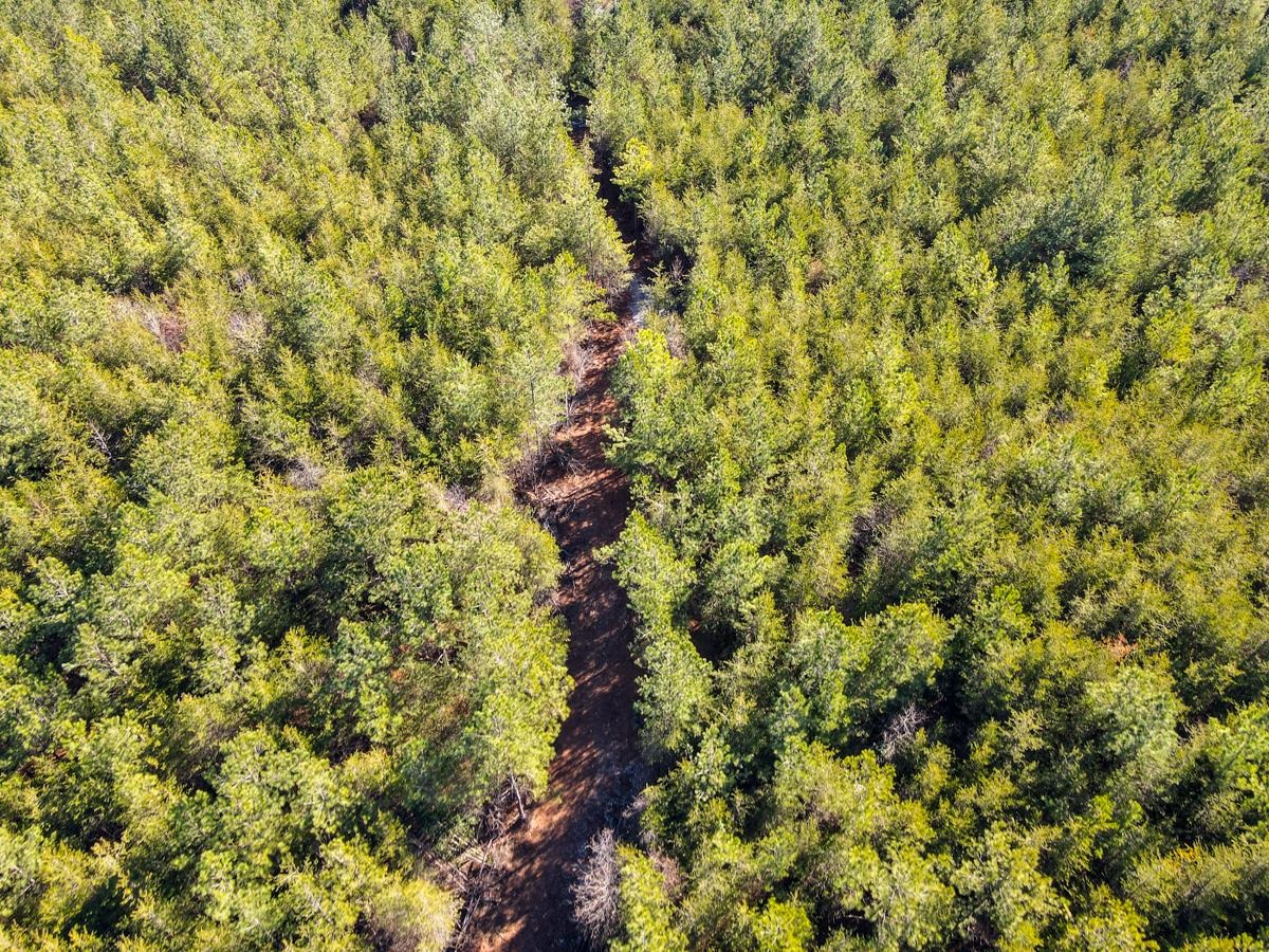 1521 Old Pacolet Road Spartanburg, SC 29307 - Photo 20 of 48