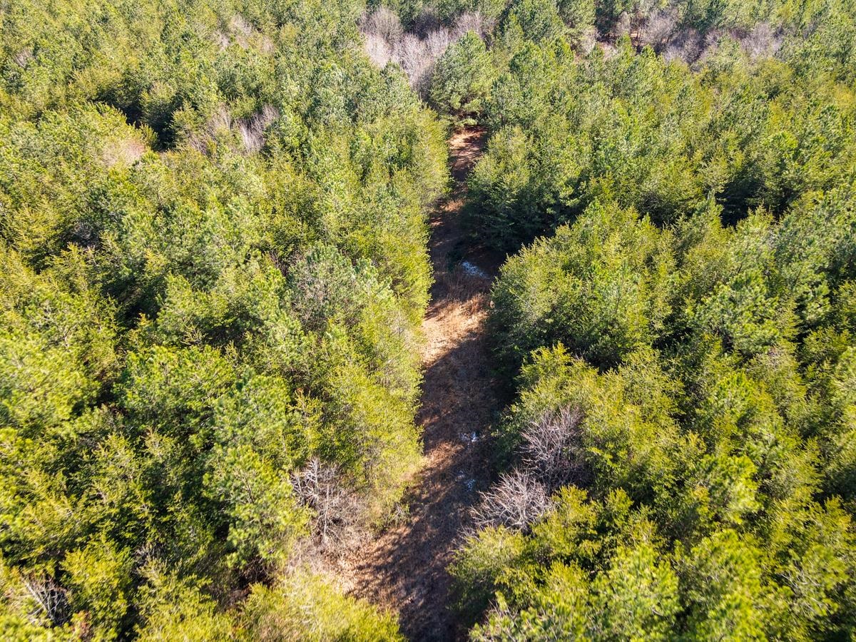 1521 Old Pacolet Road Spartanburg, SC 29307 - Photo 21 of 48