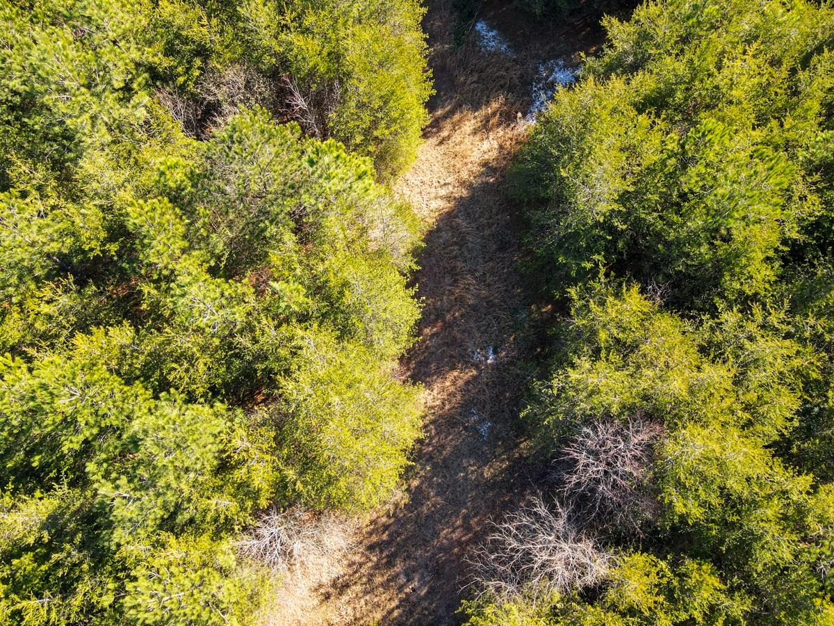 1521 Old Pacolet Road Spartanburg, SC 29307 - Photo 22 of 48