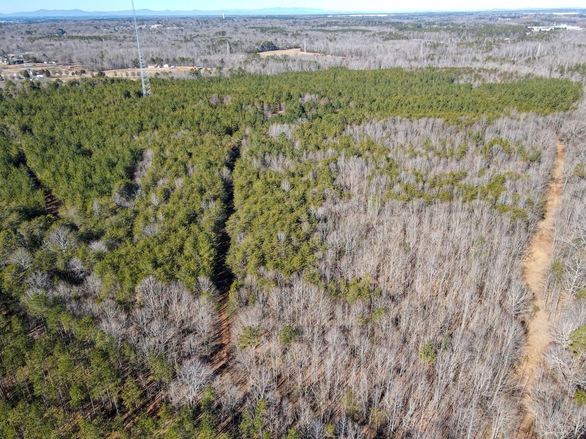 1521 Old Pacolet Road Spartanburg, SC 29307 - Photo 3 of 48