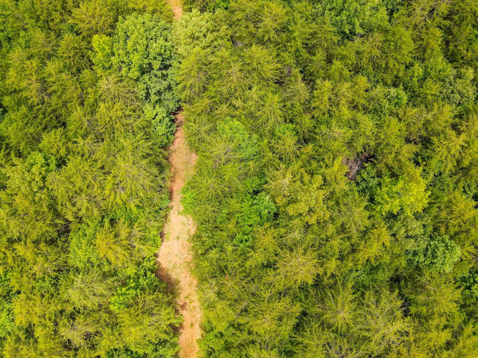 1521 Old Pacolet Road Spartanburg, SC 29307 - Photo 31 of 48