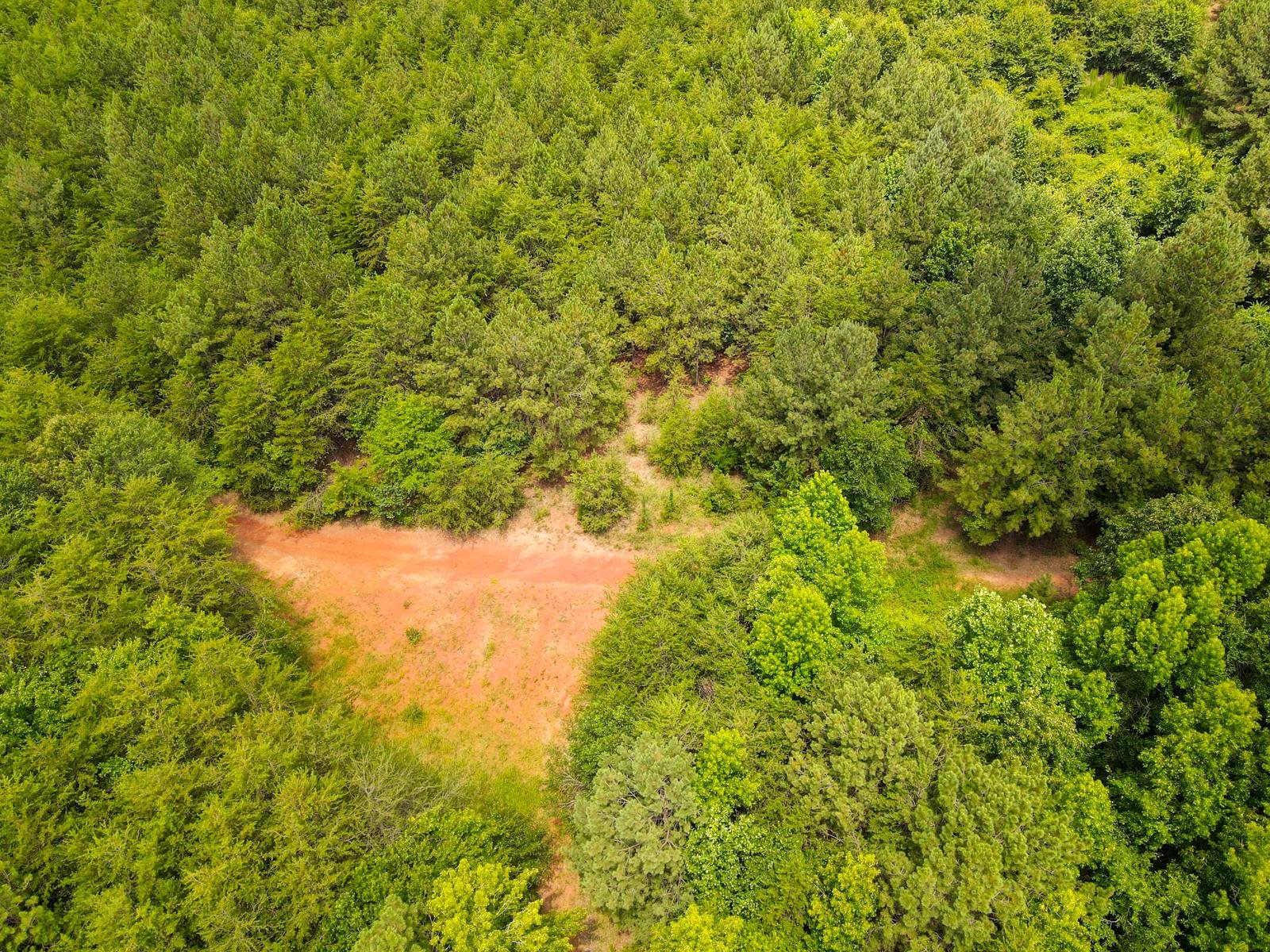 1521 Old Pacolet Road Spartanburg, SC 29307 - Photo 32 of 48