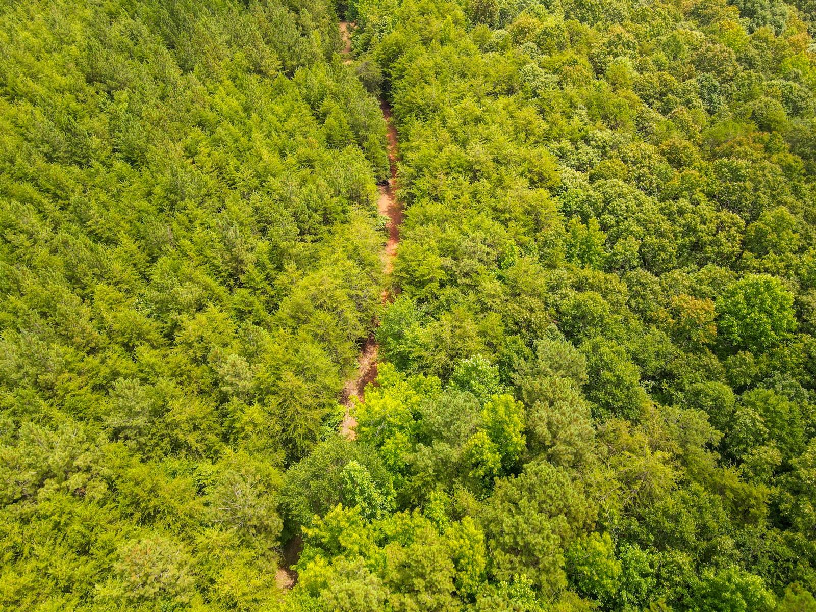 1521 Old Pacolet Road Spartanburg, SC 29307 - Photo 34 of 48