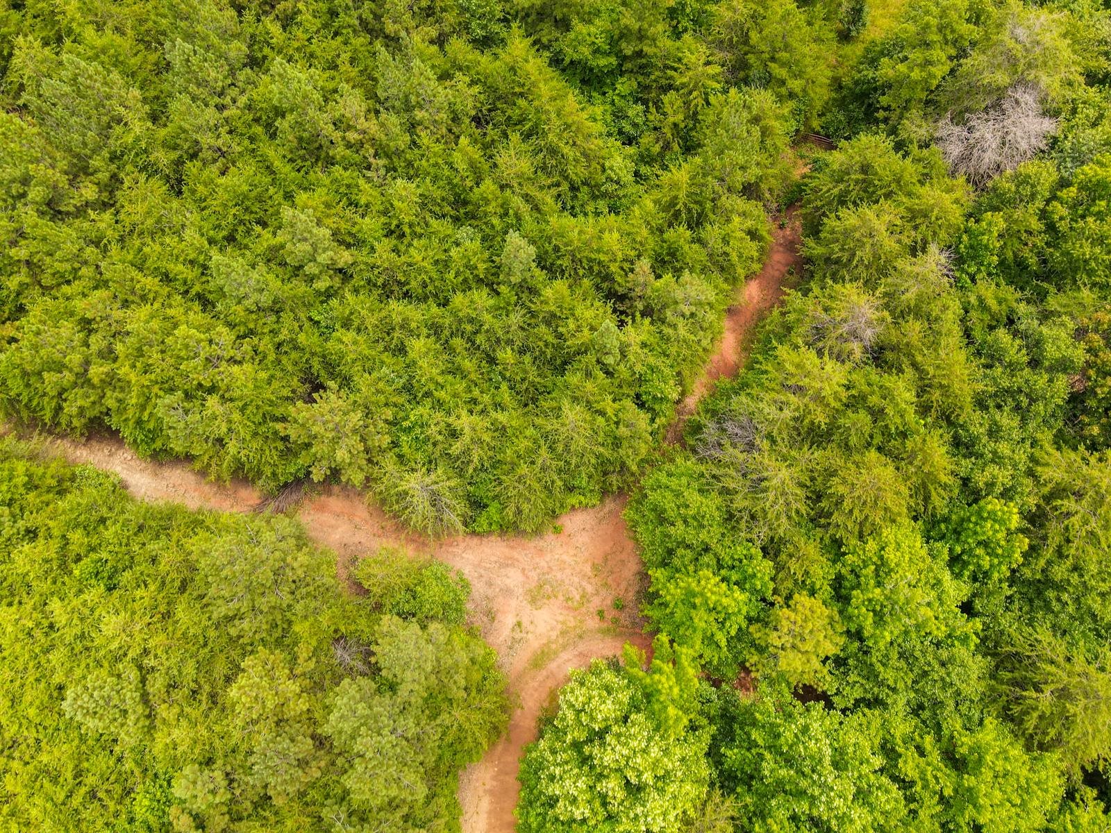 1521 Old Pacolet Road Spartanburg, SC 29307 - Photo 35 of 48