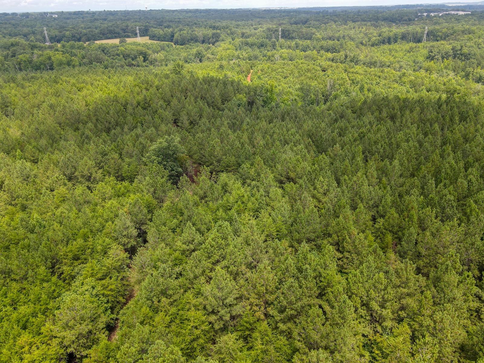 1521 Old Pacolet Road Spartanburg, SC 29307 - Photo 36 of 48