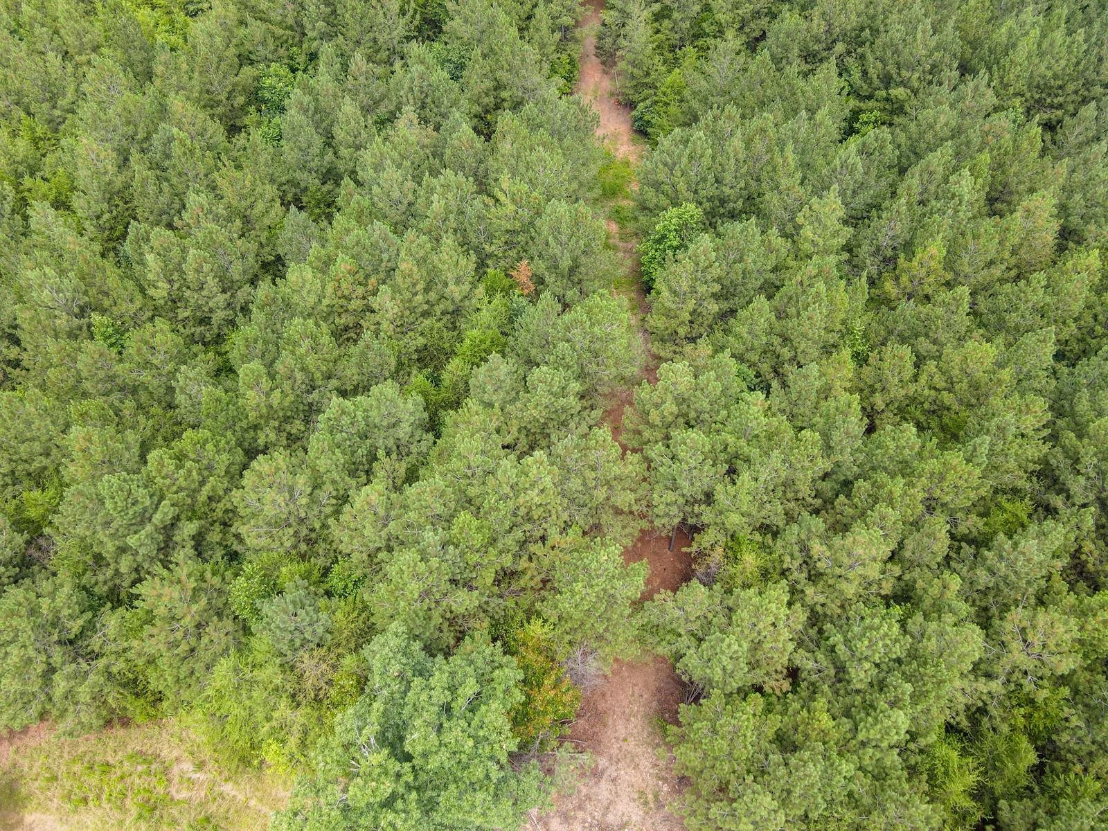 1521 Old Pacolet Road Spartanburg, SC 29307 - Photo 37 of 48