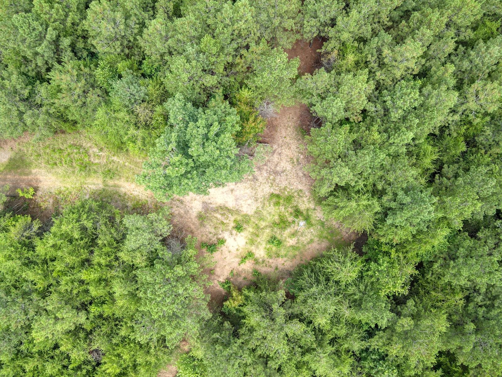 1521 Old Pacolet Road Spartanburg, SC 29307 - Photo 38 of 48