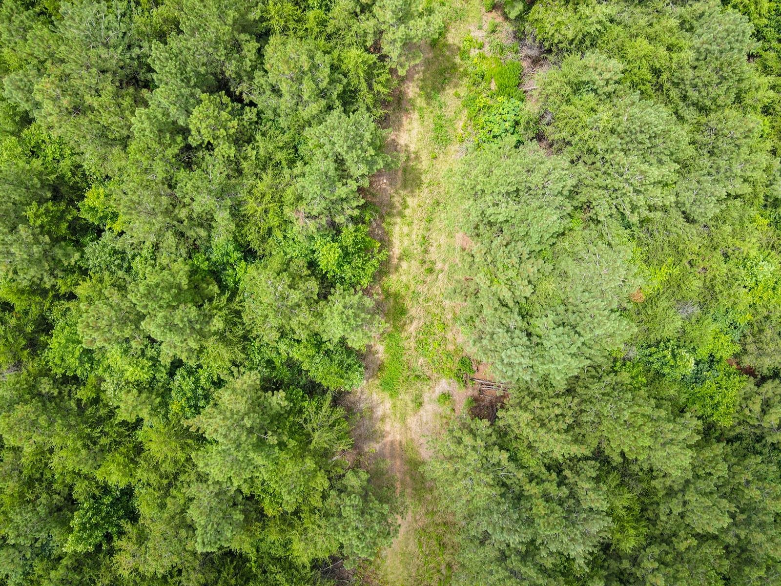 1521 Old Pacolet Road Spartanburg, SC 29307 - Photo 39 of 48