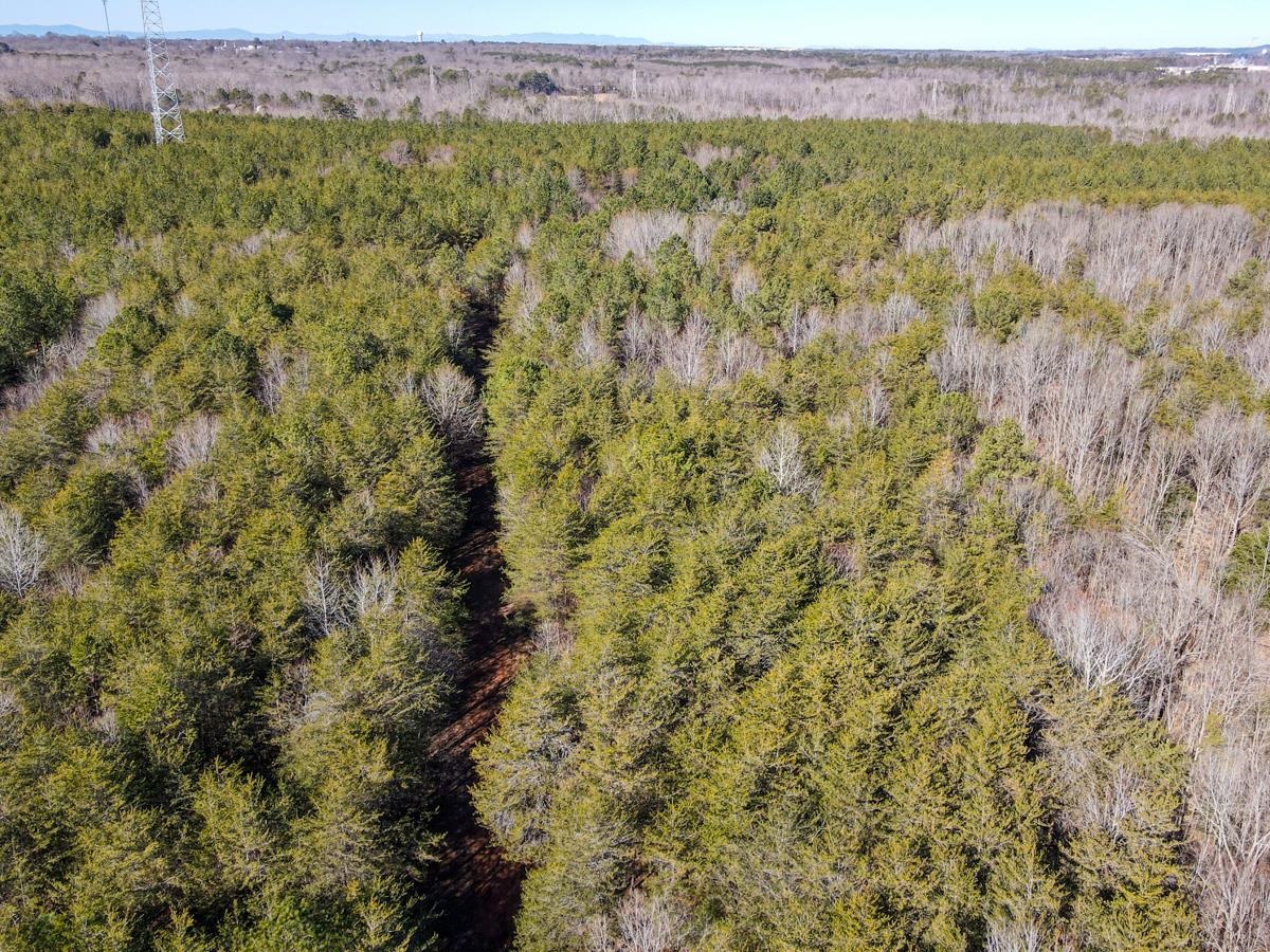 1521 Old Pacolet Road Spartanburg, SC 29307 - Photo 4 of 48