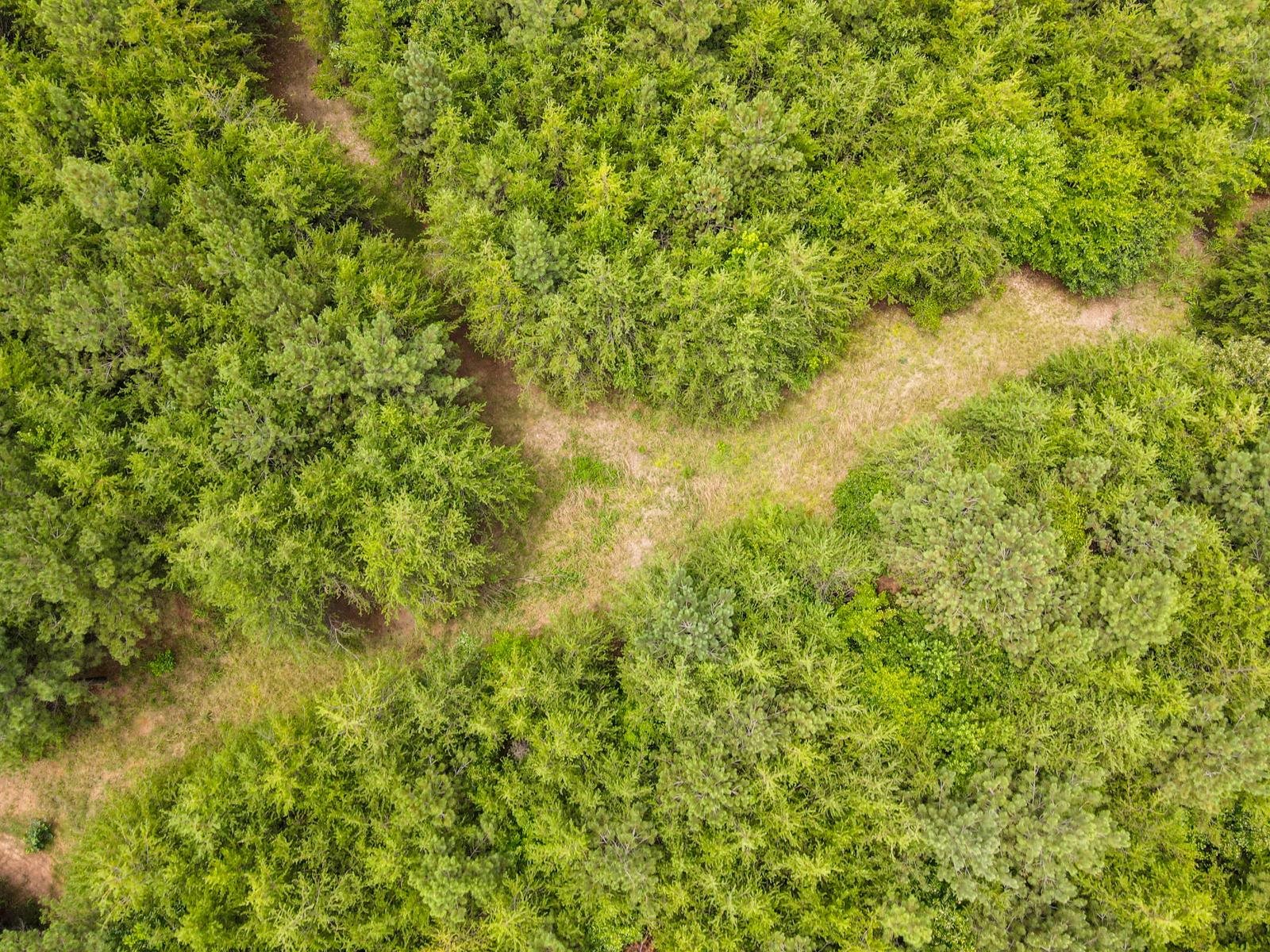 1521 Old Pacolet Road Spartanburg, SC 29307 - Photo 41 of 48