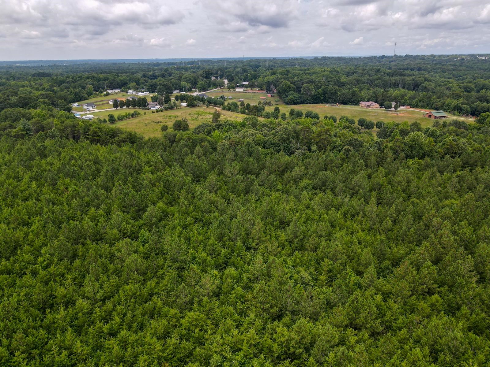 1521 Old Pacolet Road Spartanburg, SC 29307 - Photo 42 of 48