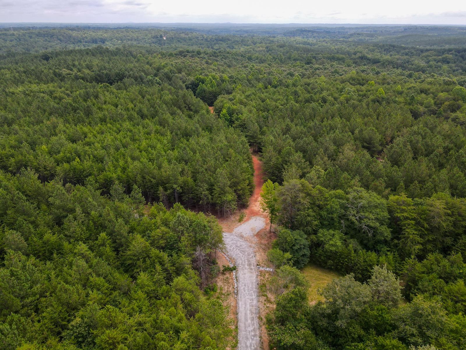 1521 Old Pacolet Road Spartanburg, SC 29307 - Photo 45 of 48