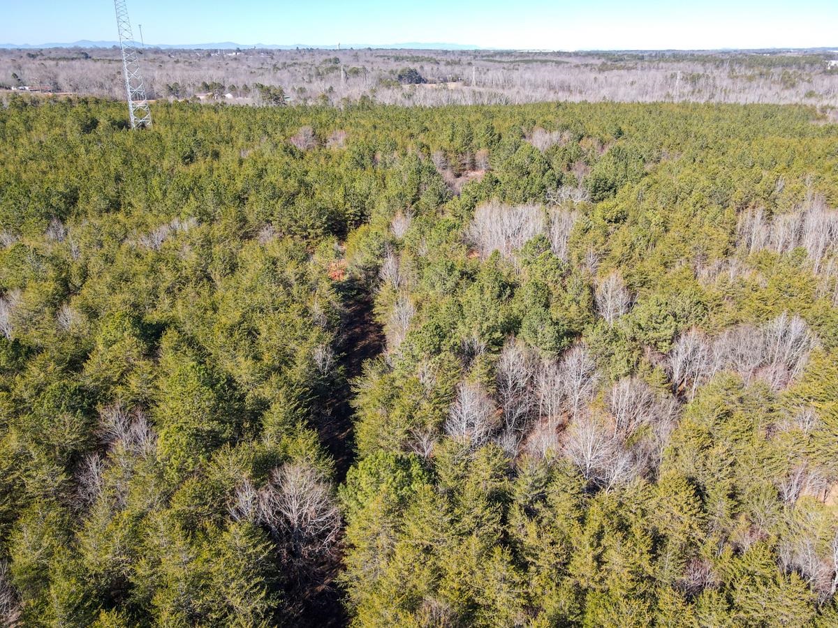 1521 Old Pacolet Road Spartanburg, SC 29307 - Photo 5 of 48