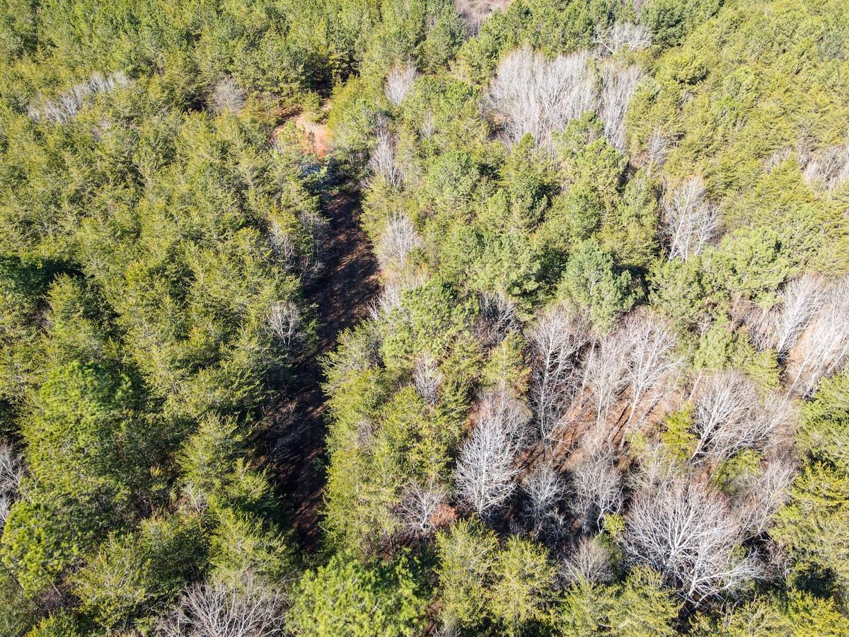 1521 Old Pacolet Road Spartanburg, SC 29307 - Photo 6 of 48