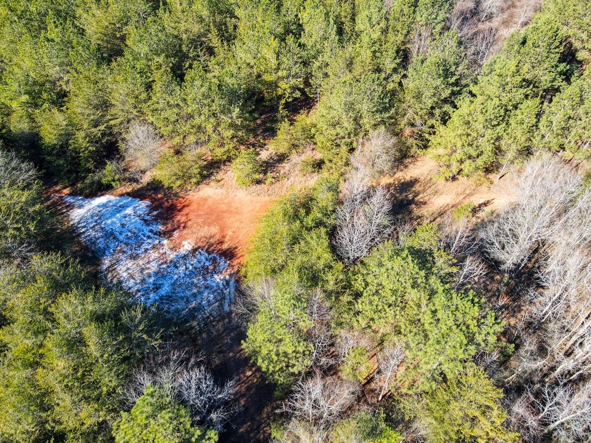 1521 Old Pacolet Road Spartanburg, SC 29307 - Photo 7 of 48