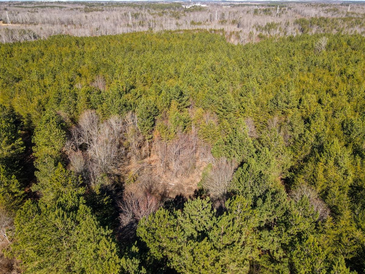 1521 Old Pacolet Road Spartanburg, SC 29307 - Photo 8 of 48