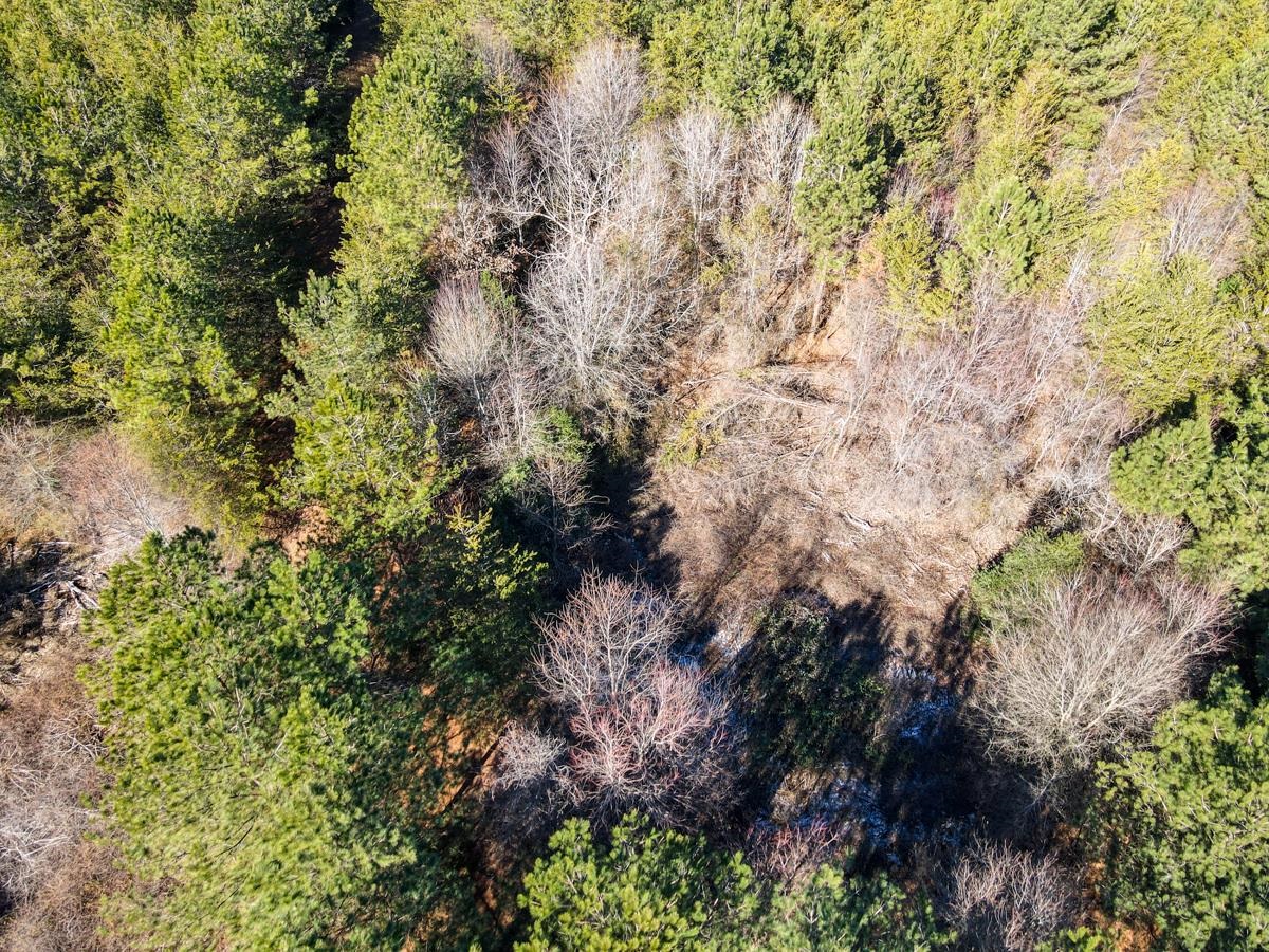 1521 Old Pacolet Road Spartanburg, SC 29307 - Photo 9 of 48