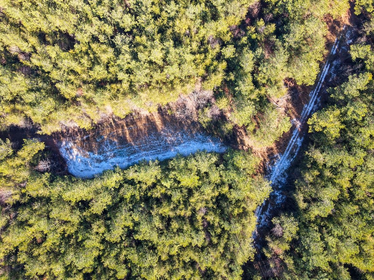 1521 Old Pacolet Road Spartanburg, SC 29307 - Photo 10 of 48