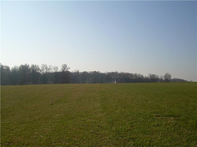 434 Clearview Road Cottontown, TN 37048 - Photo 11 of 11