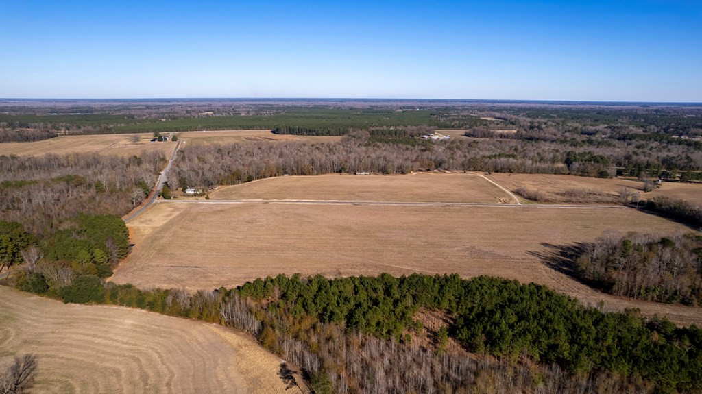 2400 Ike Brunson Road Alcolu, SC 29001 - Photo 18 of 19 Gallery Image 18