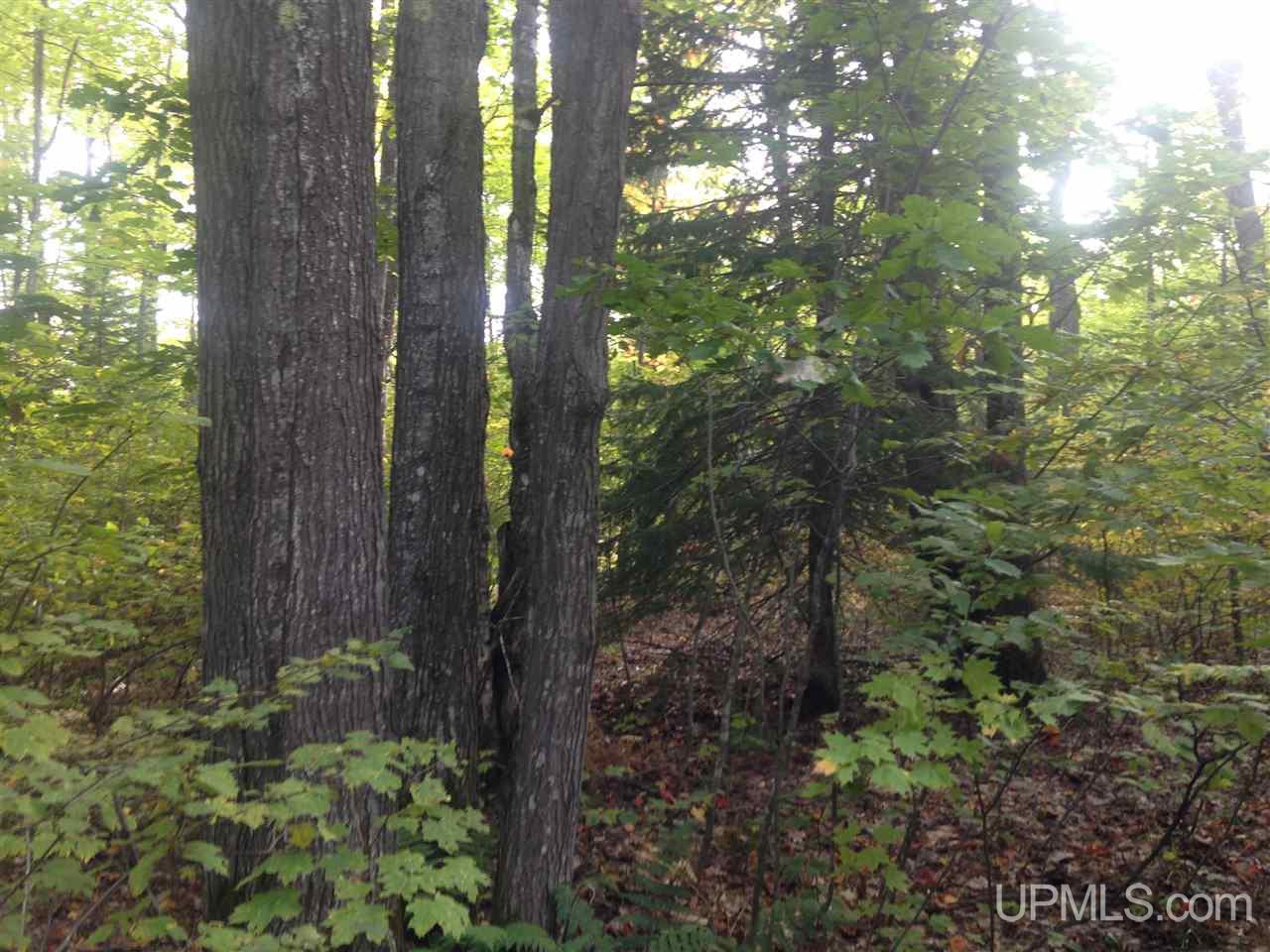 Tbd Tbd Co Road Gwinn, MI 49841 - Photo 7 of 8