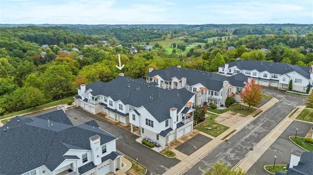 a view of garden with trees