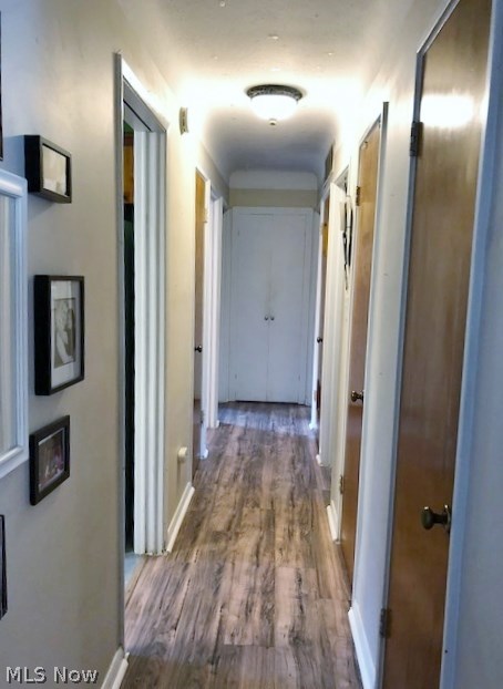 742 Bishop Road Cleveland, OH 44143 - Photo 10 of 29 Gallery Image 10