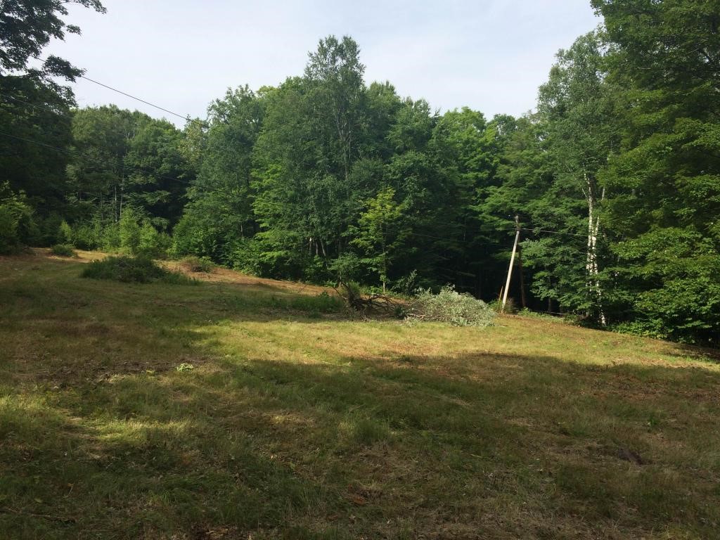0 Spaulding Road, Unit LOT 2 Putney, VT 05346 - Photo 7 of 12