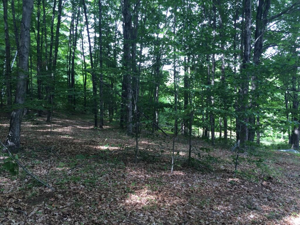 0 Spaulding Road, Unit LOT 2 Putney, VT 05346 - Photo 9 of 12